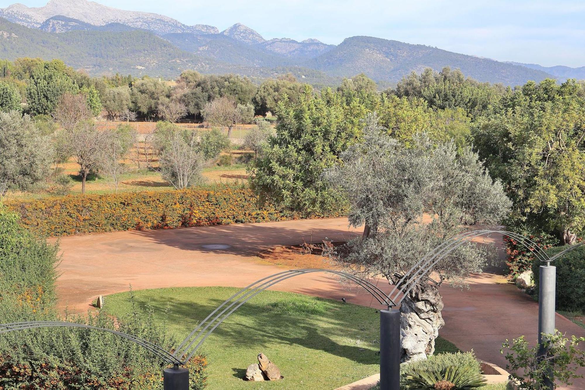 151 Villa Es Triquet Et3366 By Mallorca Charme Бинисалем Экстерьер фото