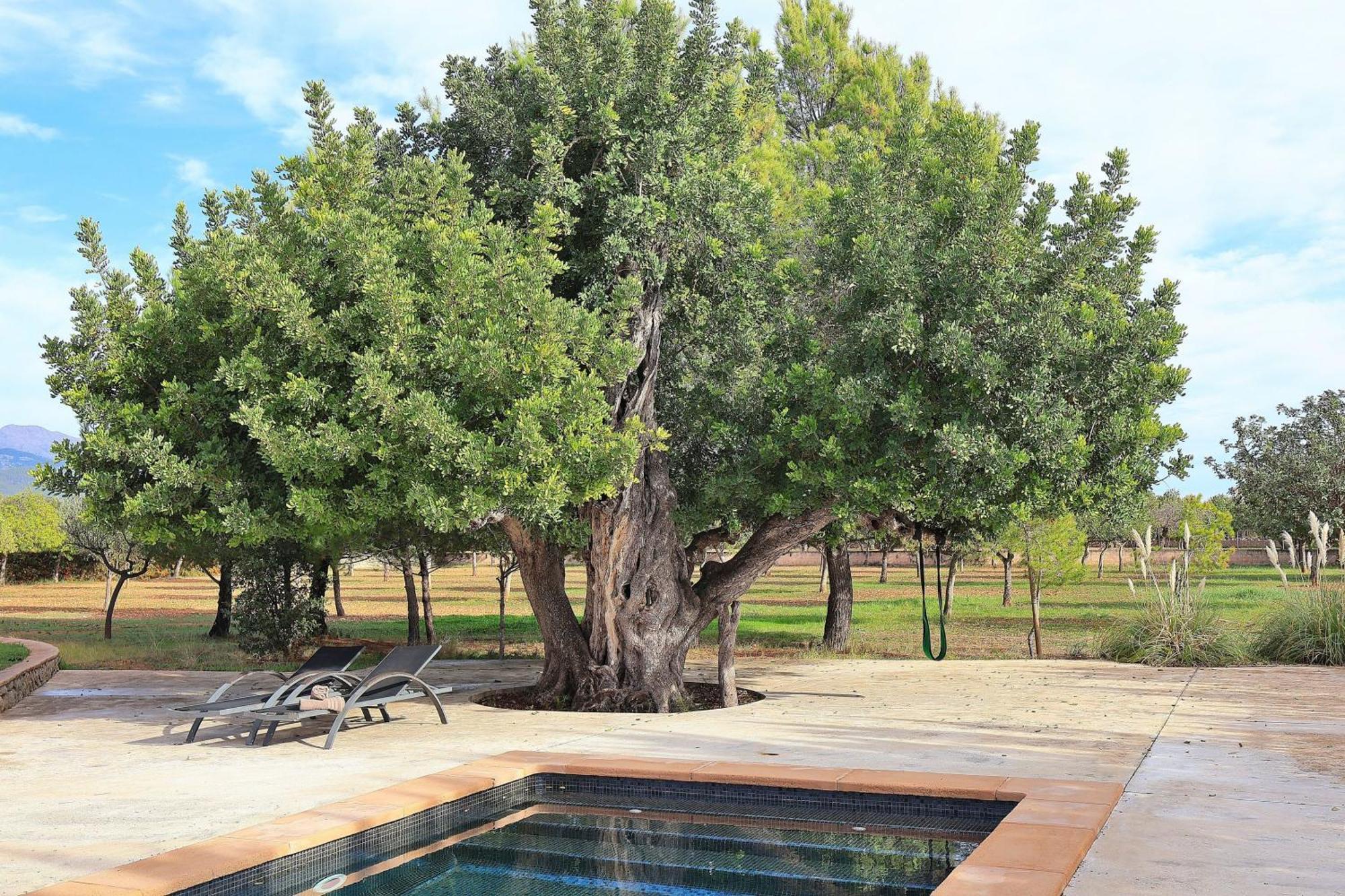 151 Villa Es Triquet Et3366 By Mallorca Charme Бинисалем Экстерьер фото